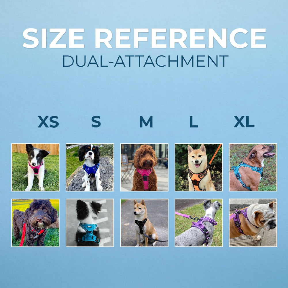 Best Pet Supplies Voyager lattice nylon design blends style with restraint.