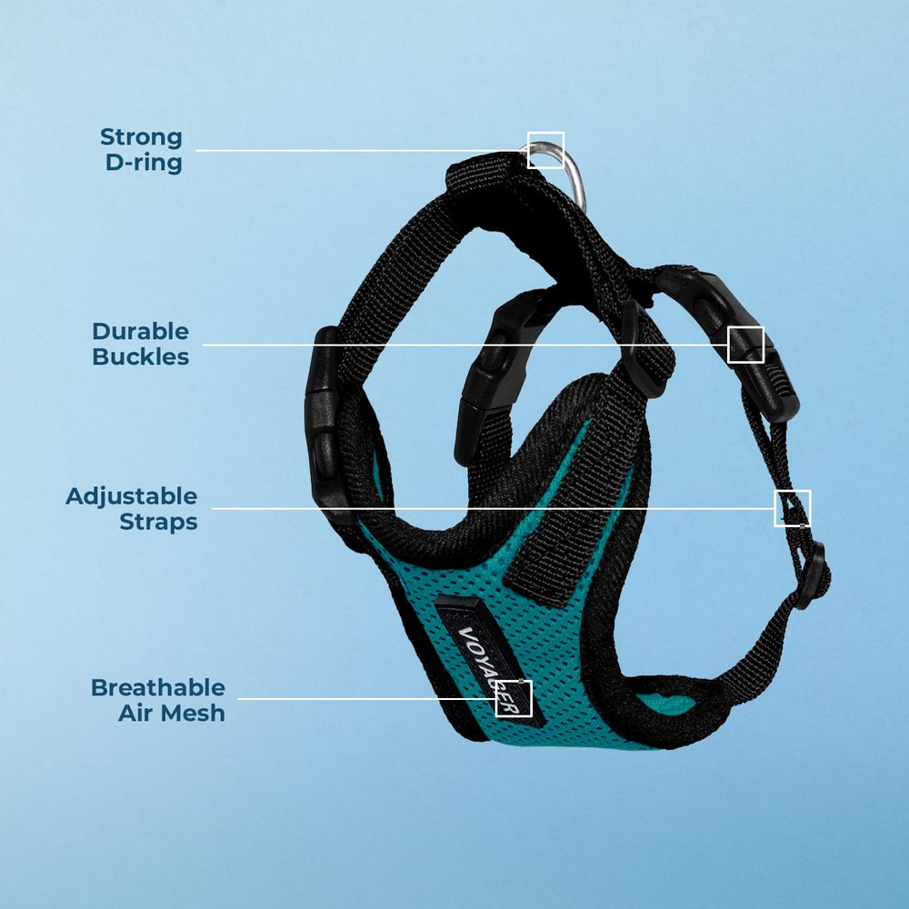 Best Pet Supplies Voyager harness back D-ring for secure leash attachment.