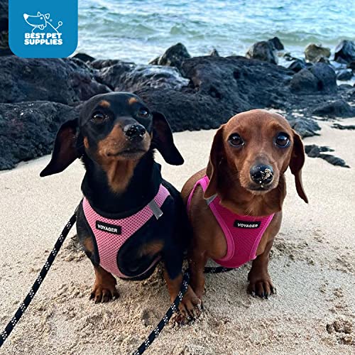 Best Pet Supplies Voyager harness dogs and cats wearing during walk