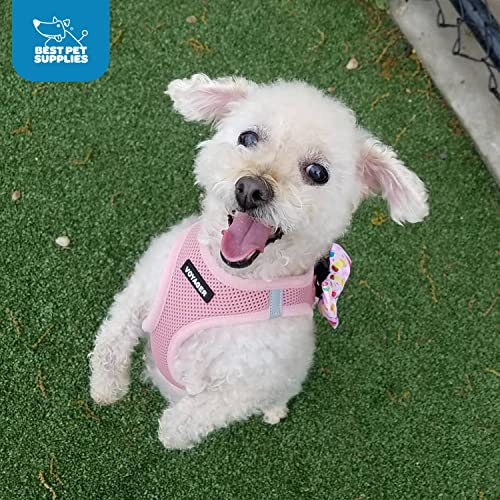 Best Pet Supplies Voyager Step-in Air Harness step-in design simplifies walks.