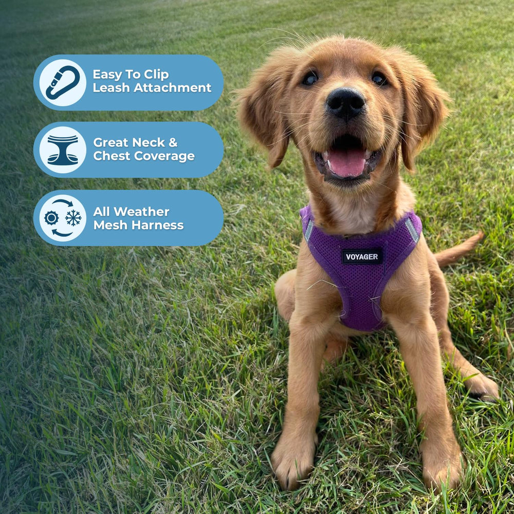 Best Pet Supplies Voyager step-in air harness no-pull design reduces tugging on walks.