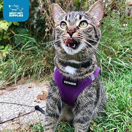 Best Pet Supplies Voyager step-in air harness in purple XXXS suits small pets well.