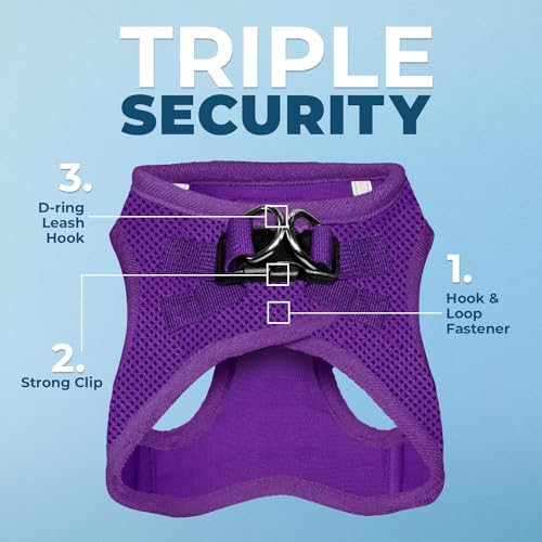 Best Pet Supplies Voyager step-in air harness with reflective bands improves visibility at dawn.