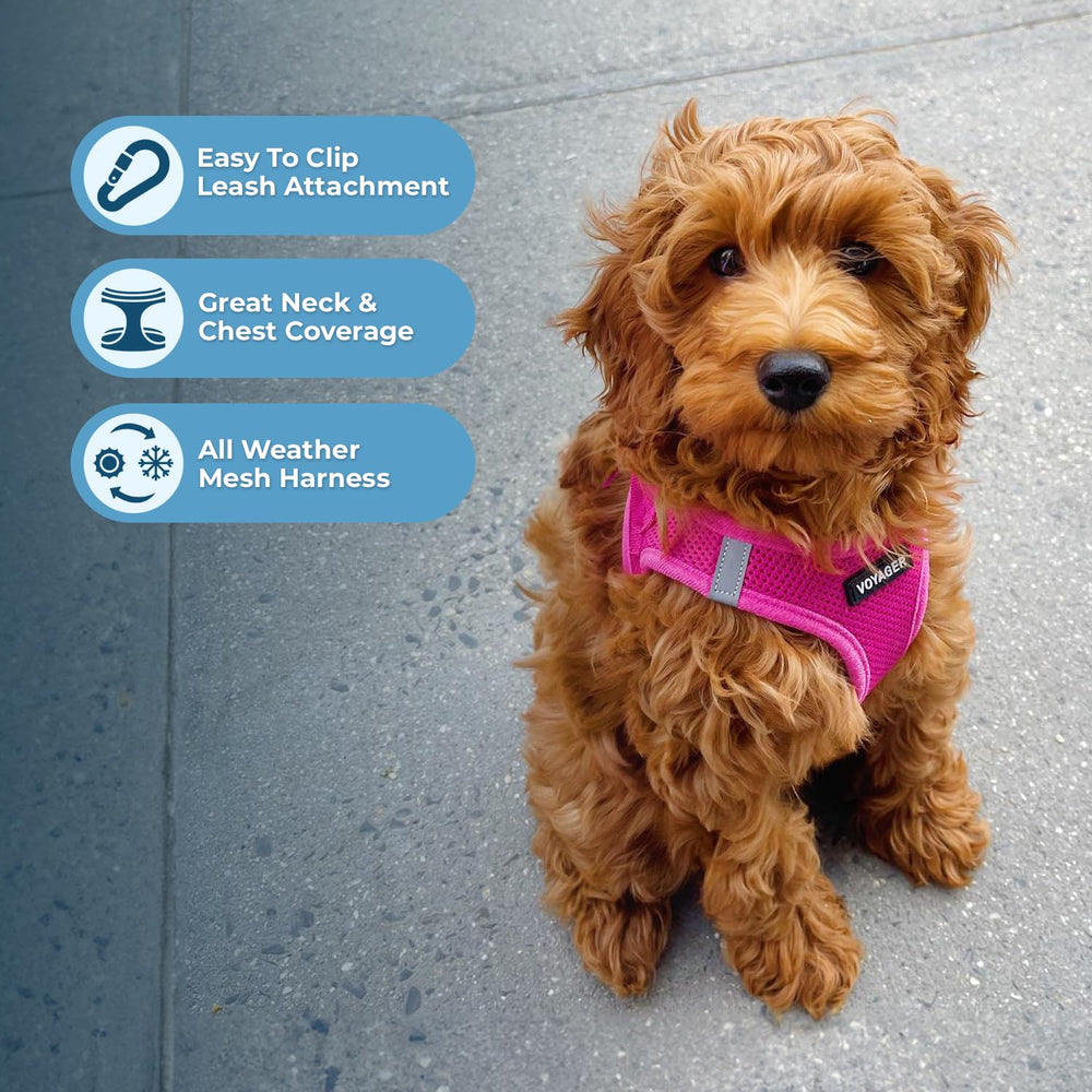 Best Pet Supplies Voyager harness with reflective bands for better visibility