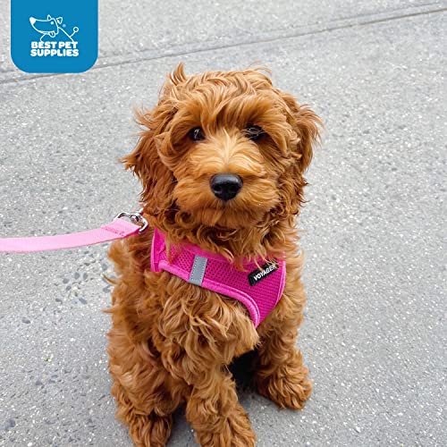 Best Pet Supplies Voyager harness size guide chart for correct fit
