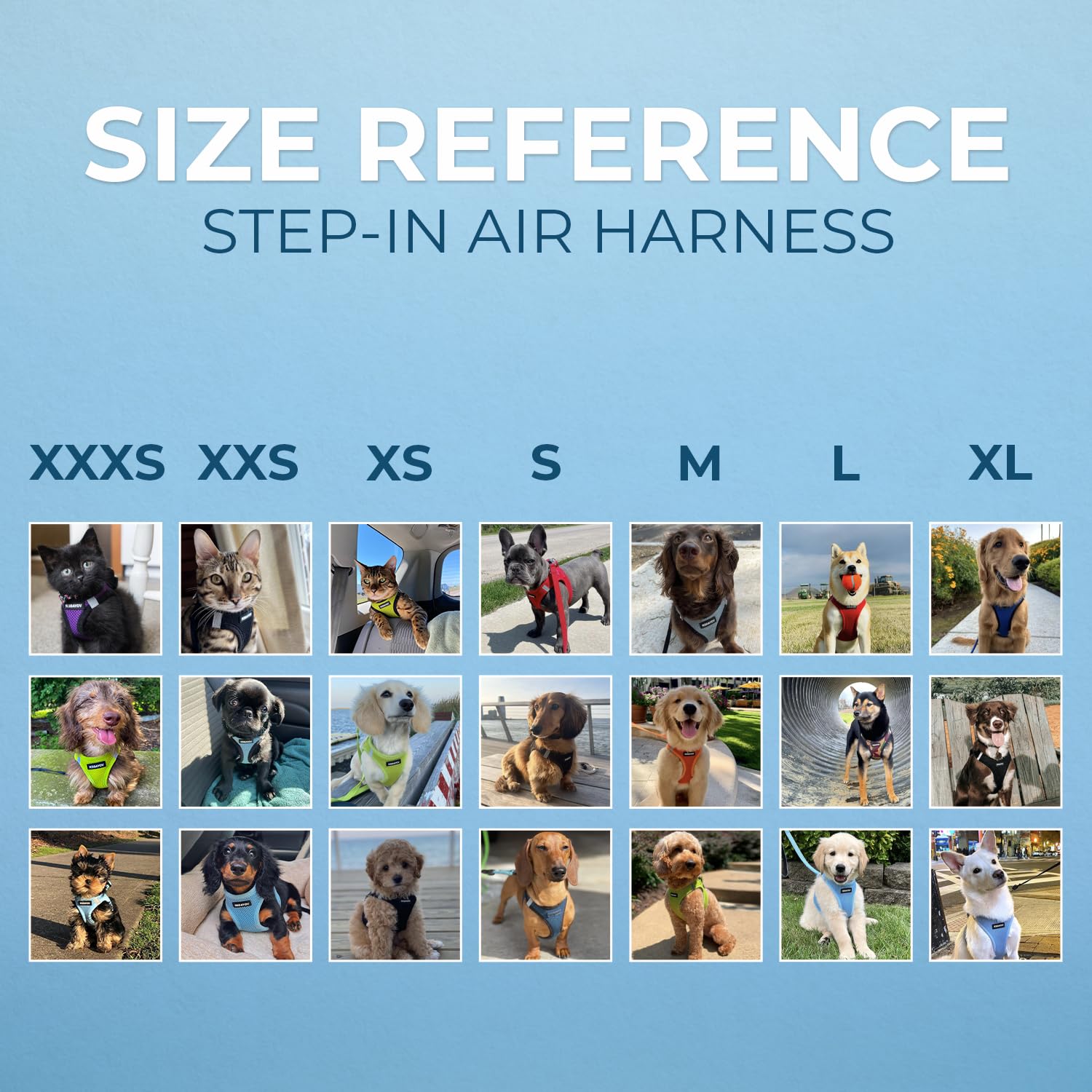 Best Pet Supplies Voyager harness step-in design for quick use