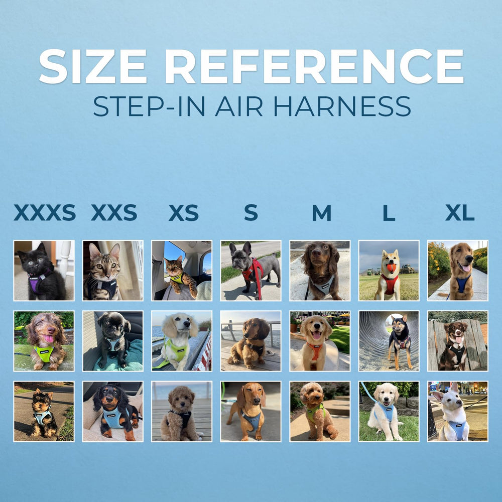 Best Pet Supplies Voyager harness step-in design for quick use