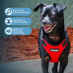 Best Pet Supplies Voyager Step-in Harness all-weather mesh showcases breathable comfort for year-round outings.
