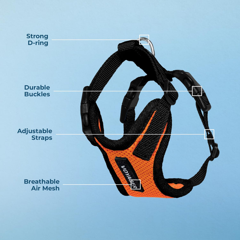 Adjustable chest strap on Voyager Step-in Harness ensures a comfortable fit for pets