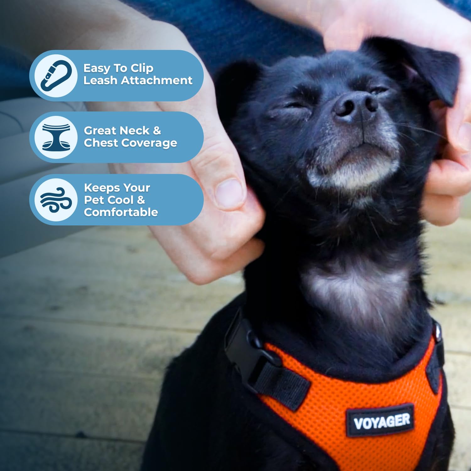 Orange/black trim detail on Voyager Step-in Harness combines visibility and durability