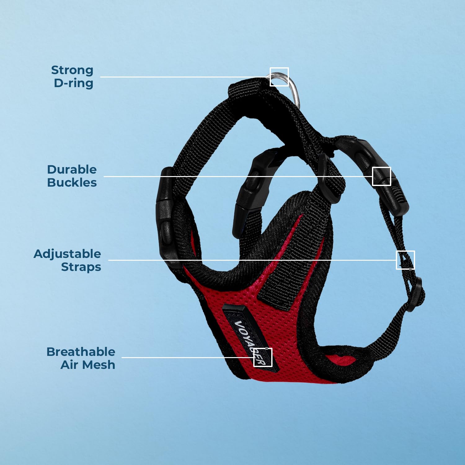 Best Pet Supplies Voyager Step-in Harness XS size on small pet demonstrates precise fit guidance.