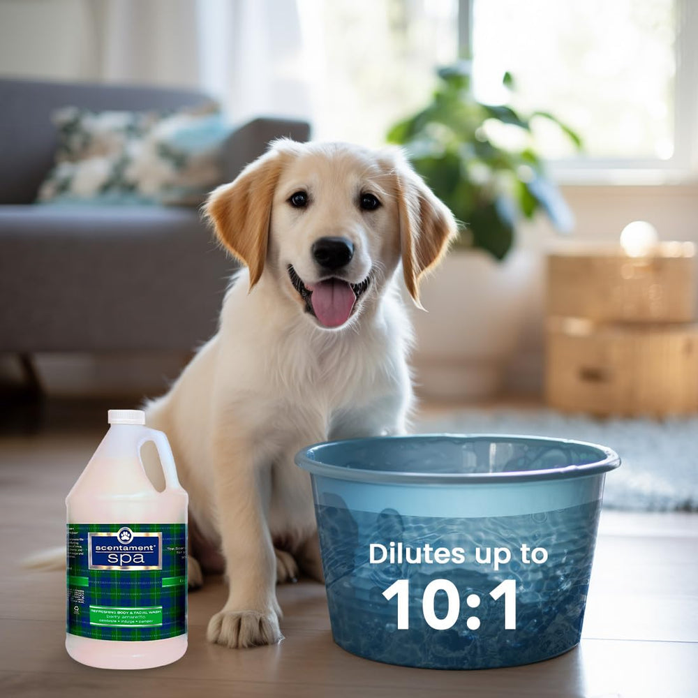 Best Shot Pet Scentament Spa coat shine finish after bath