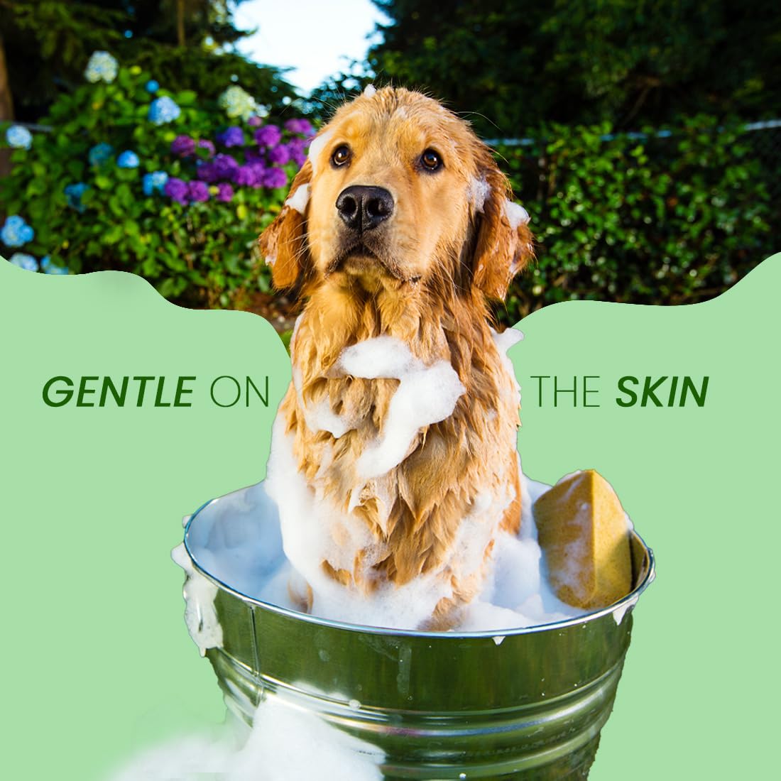 Best Shot Pet Scentament Spa vitamin silk protein adds shine and conditioning