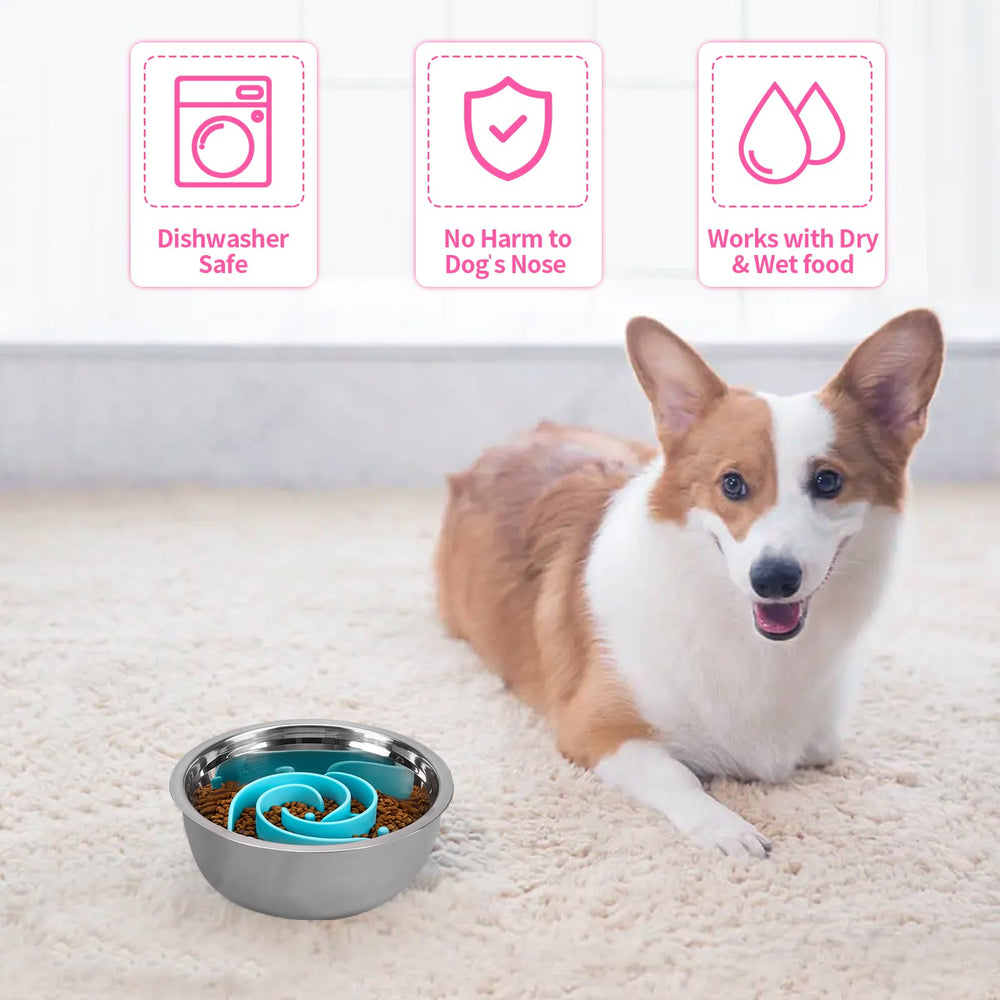 Bestalk easy-clean-dishwasher-safe image suggests quick maintenance after meals.