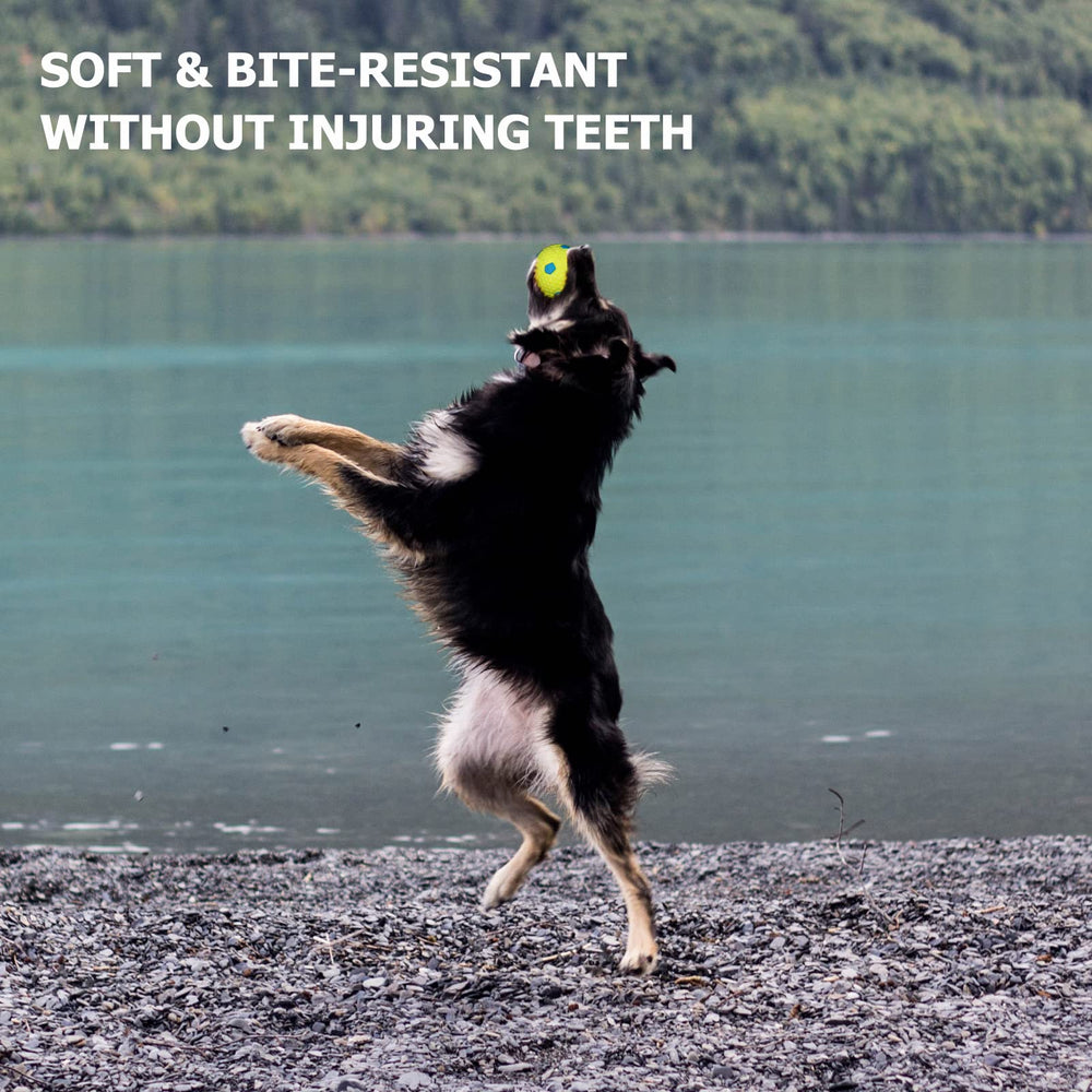 BESTHLS 2-inch ball sized for small dogs and puppies.
