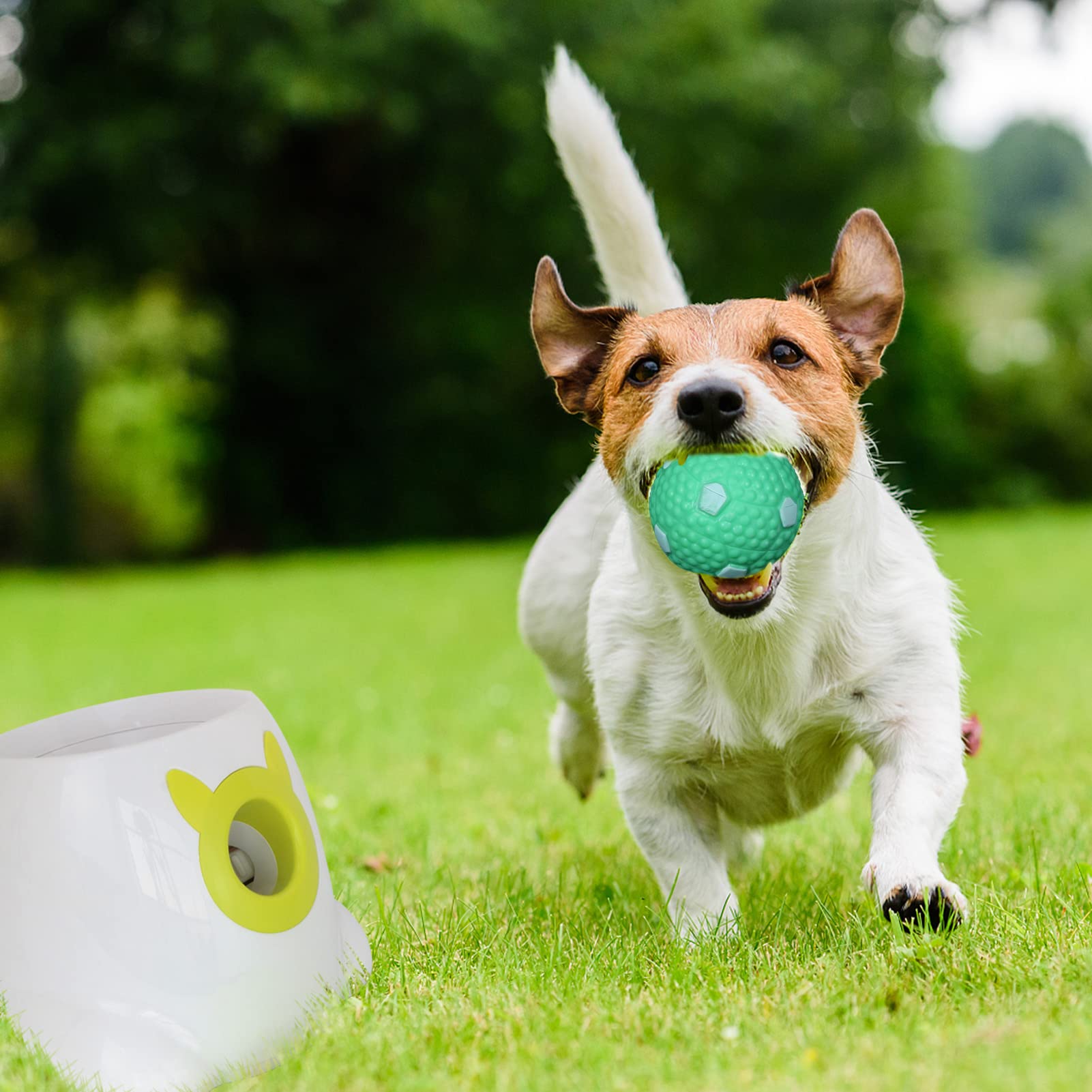 BESTHLS interactive-play ball supports active games and training sessions.