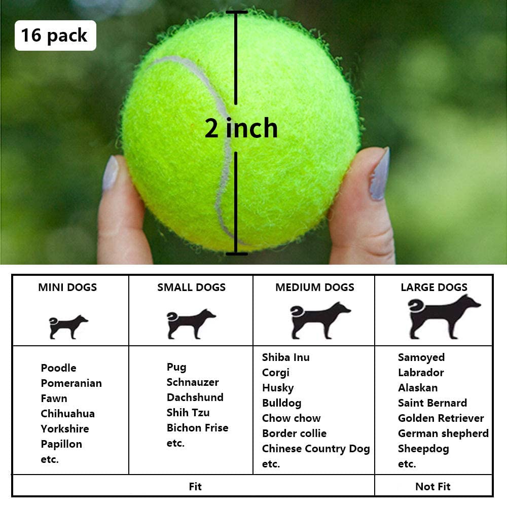 BESTHLS 16-pack provides abundant fetch options for daily routines.