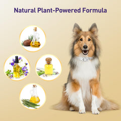 BestHoby plant-oil-blend close-up provides gentle, natural scent protection for healthier walks.