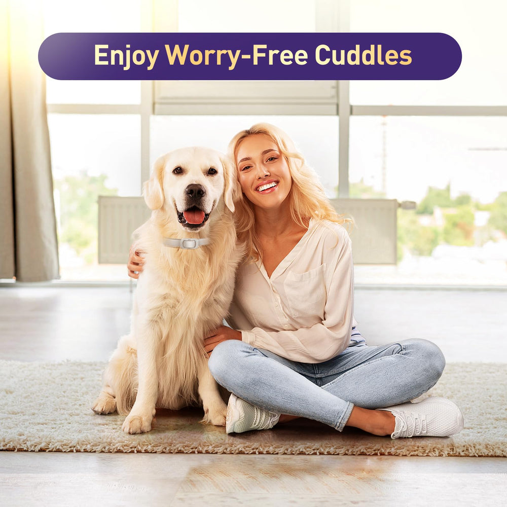 BestHoby puppy-and-small-dog-friendly design suitable for puppies and seniors alike.