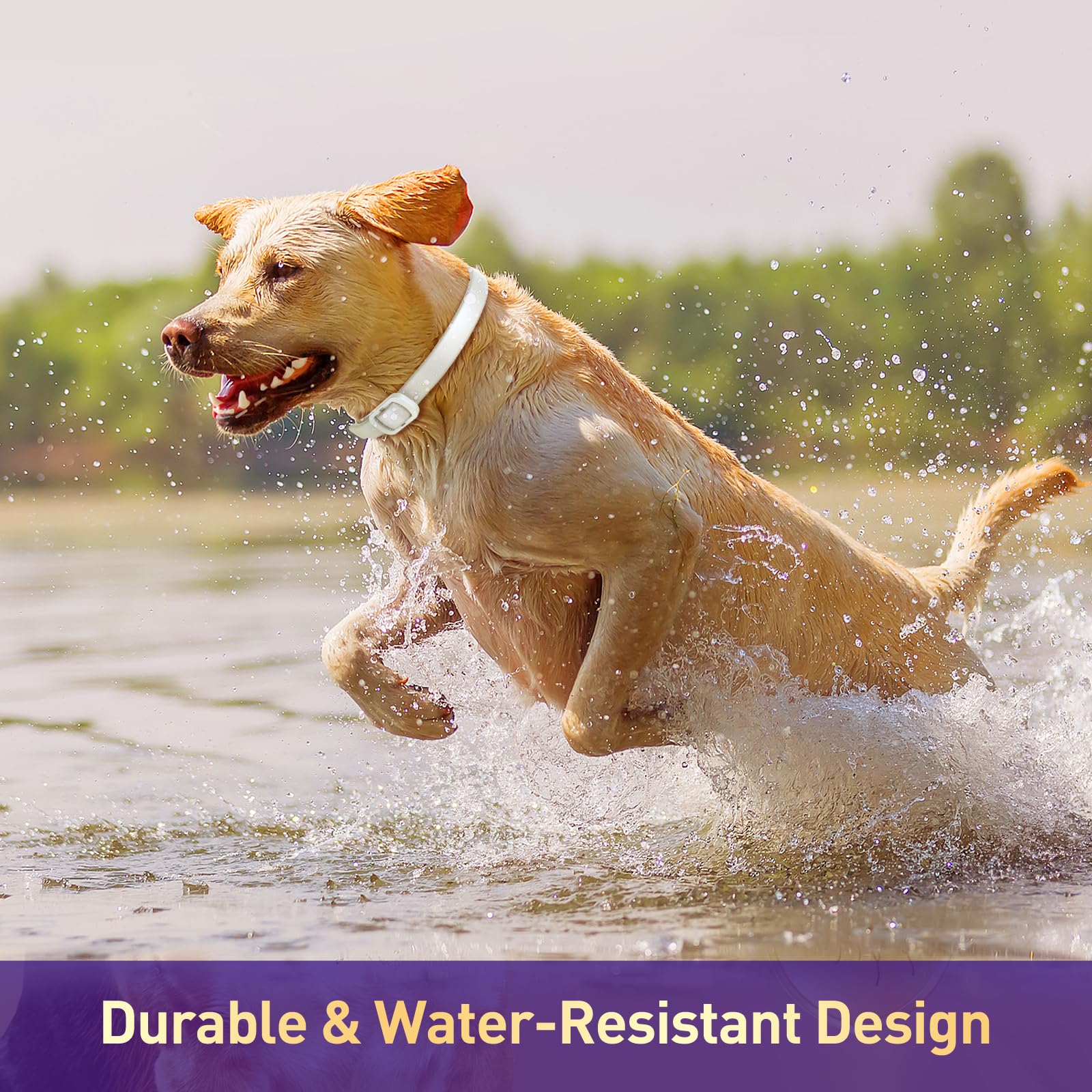 BestHoby slow-release design ensures lasting scent barrier throughout daily adventures.