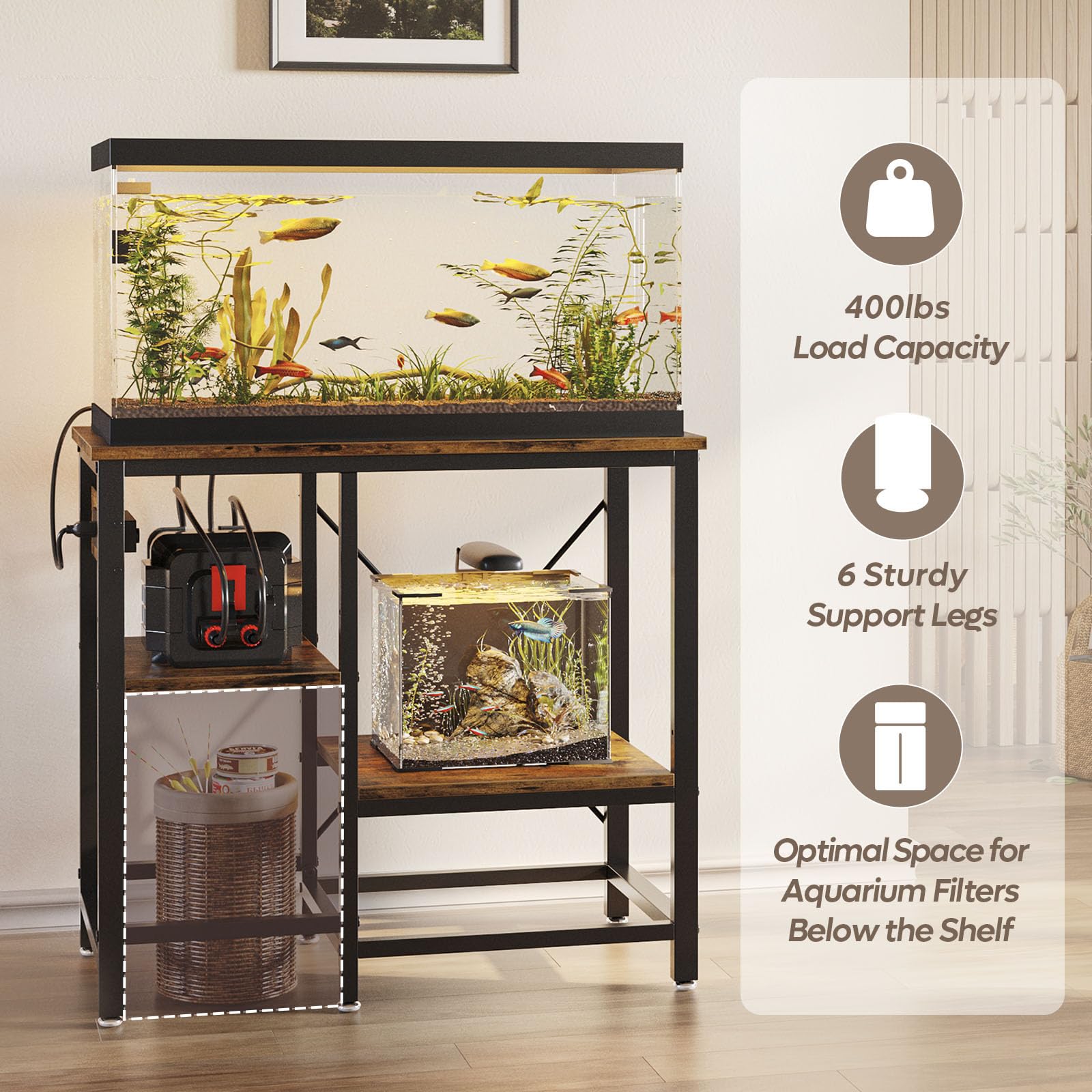 Bestier lower 5-gallon space view reveals extra tank for acclimation or quarantine tasks.