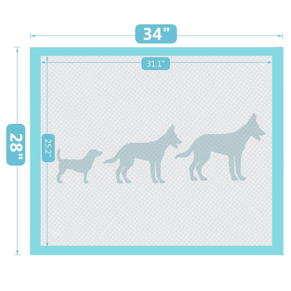 BESTLE 40-count pack visual emphasizes value and readiness
