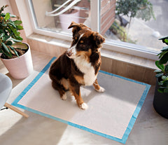 BESTLE Dog pad quick-dry top layer speeds absorption for less mess.