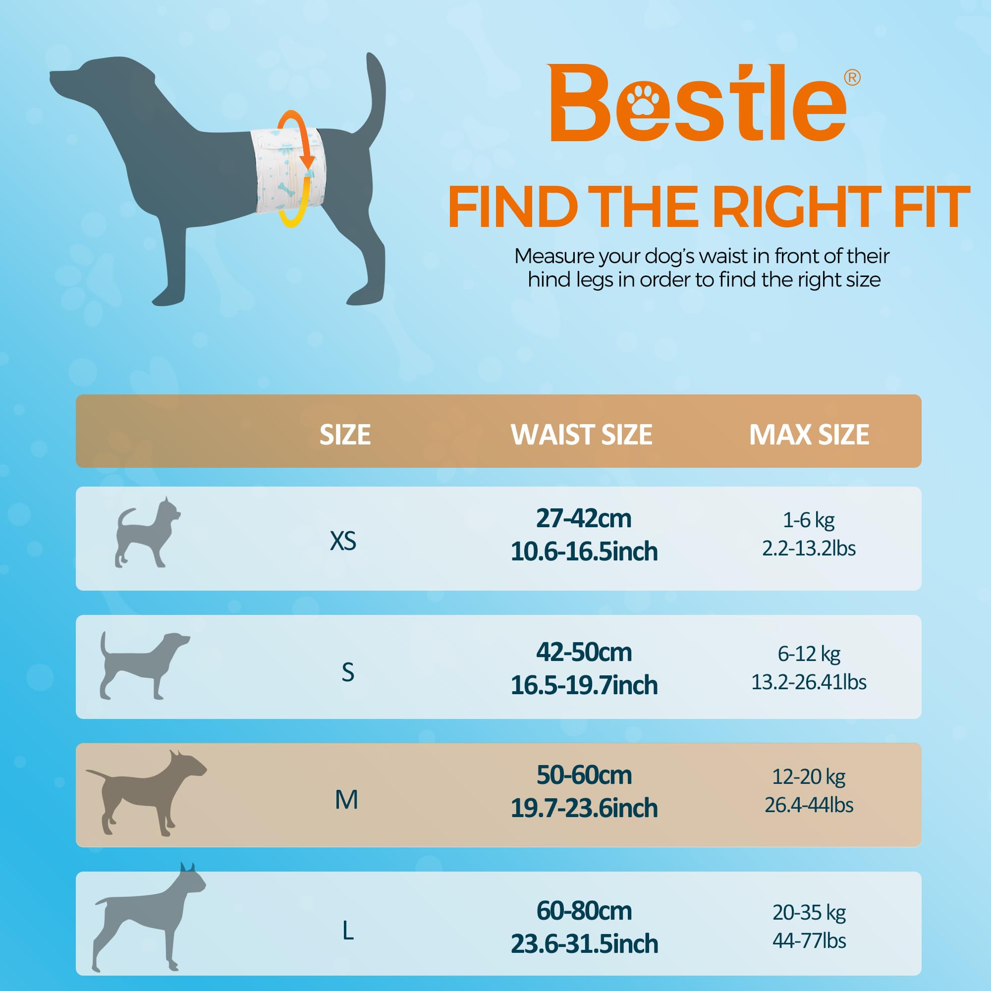 Bestle male dog wrap worn by a dog for leak-free protection.