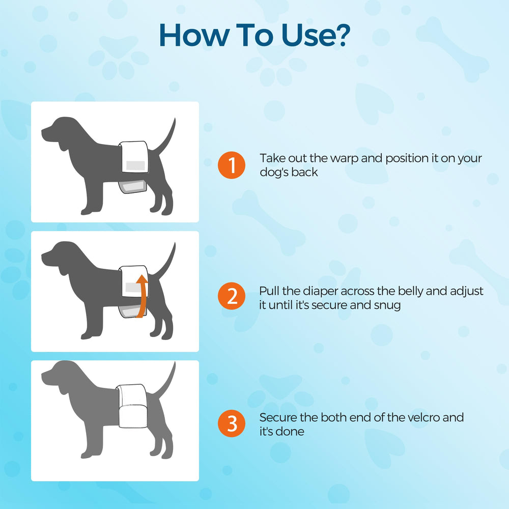 Bestle male dog wrap size S label indicating waist range