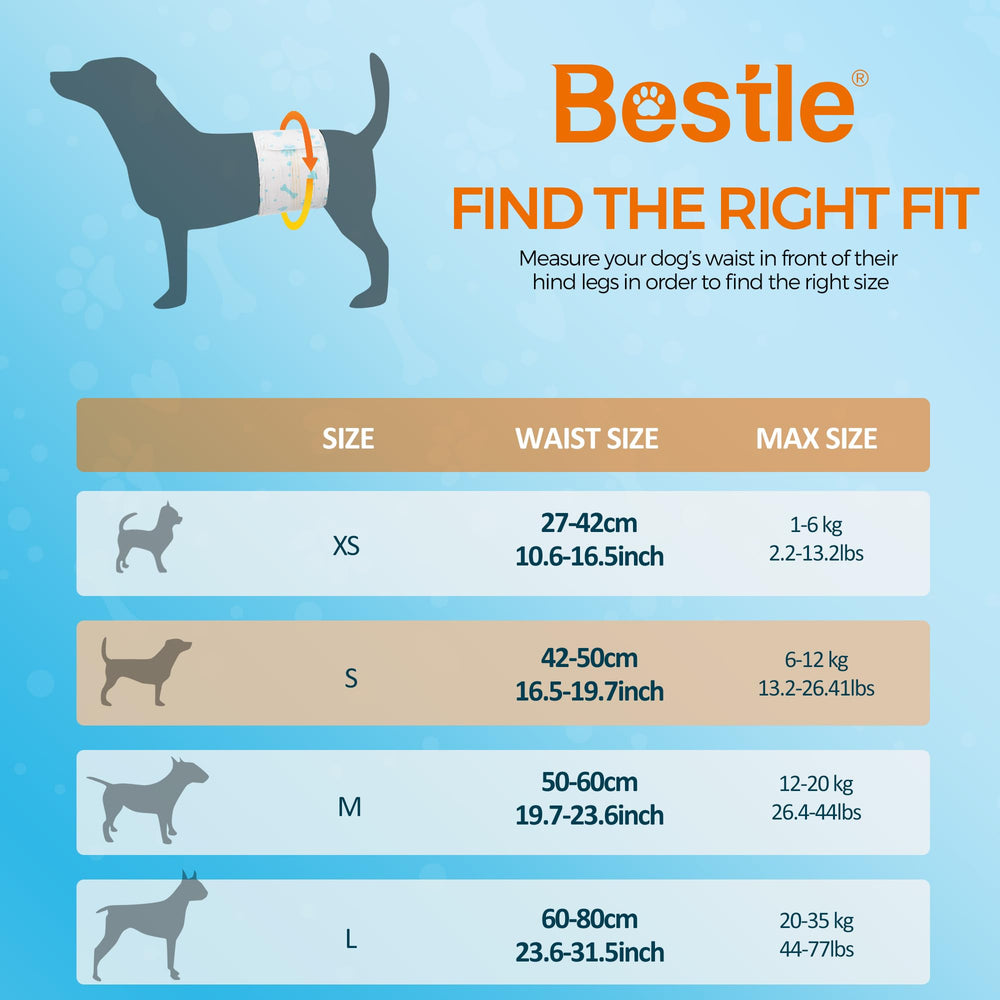 Bestle male dog wrap waistband closeup highlighting secure fit