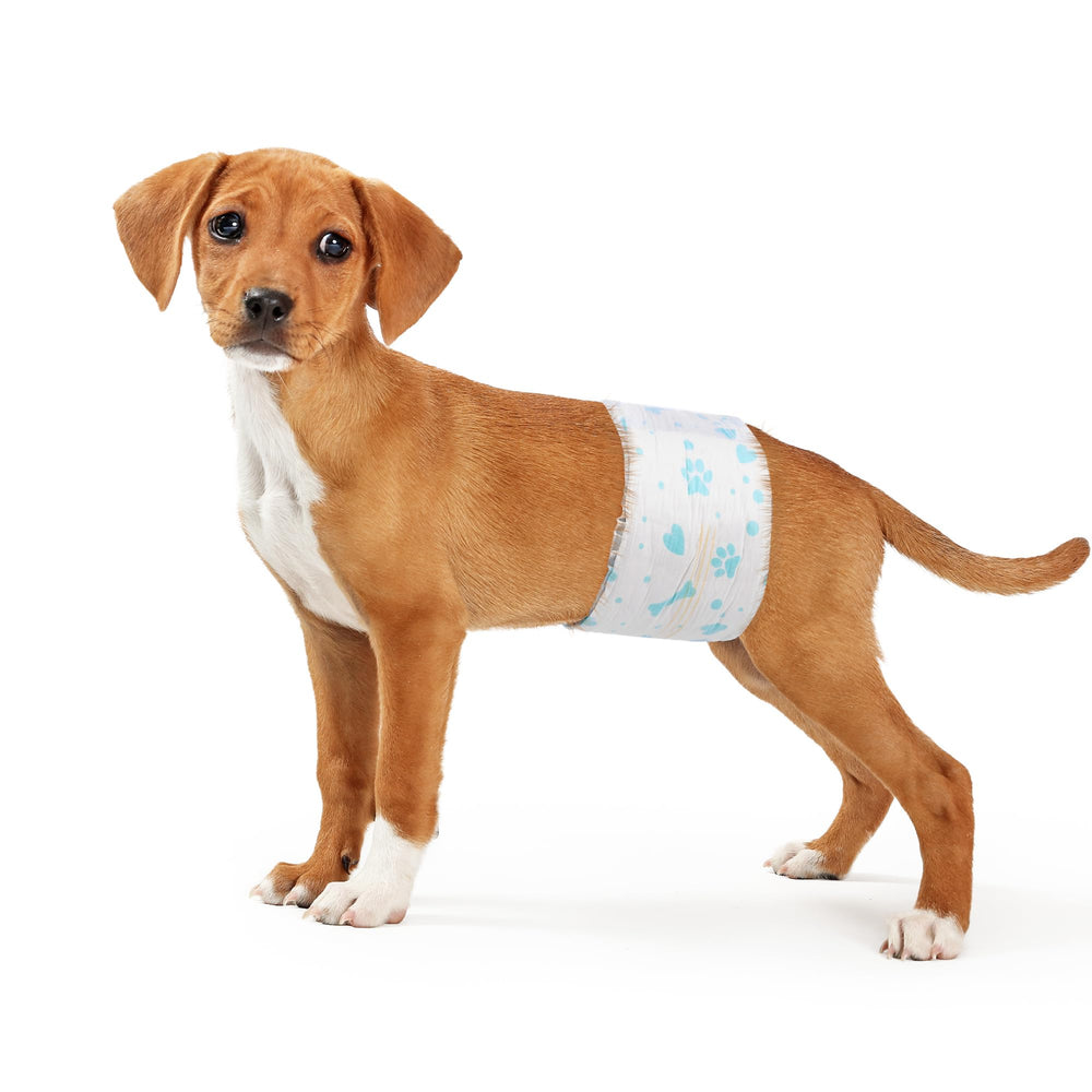 Bestle male dog wrap wetness indicator shows when to change for comfort.