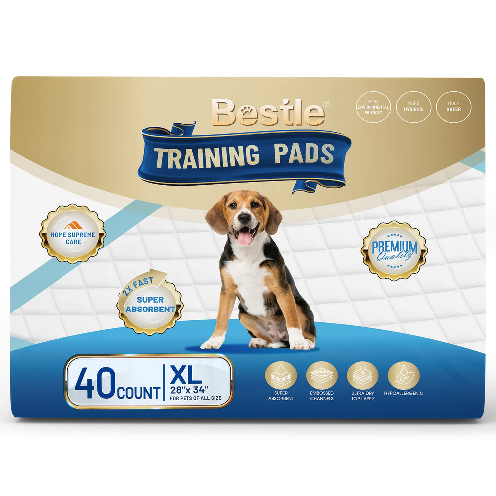 BESTLE indoor-outdoor use demonstrated for versatile home placement