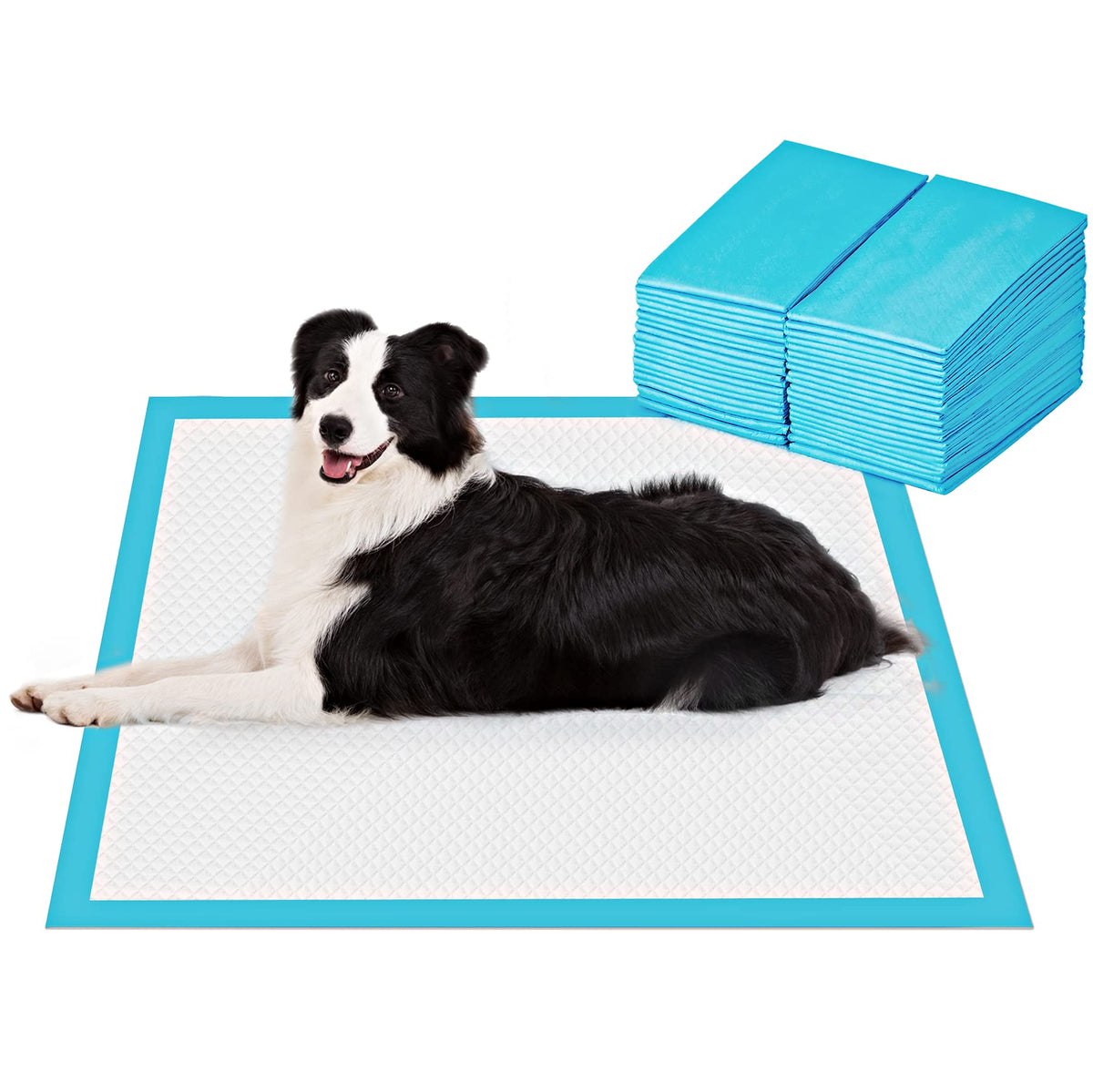 BESTLE xlarge pads with 5-layer absorbent design for reliable training.