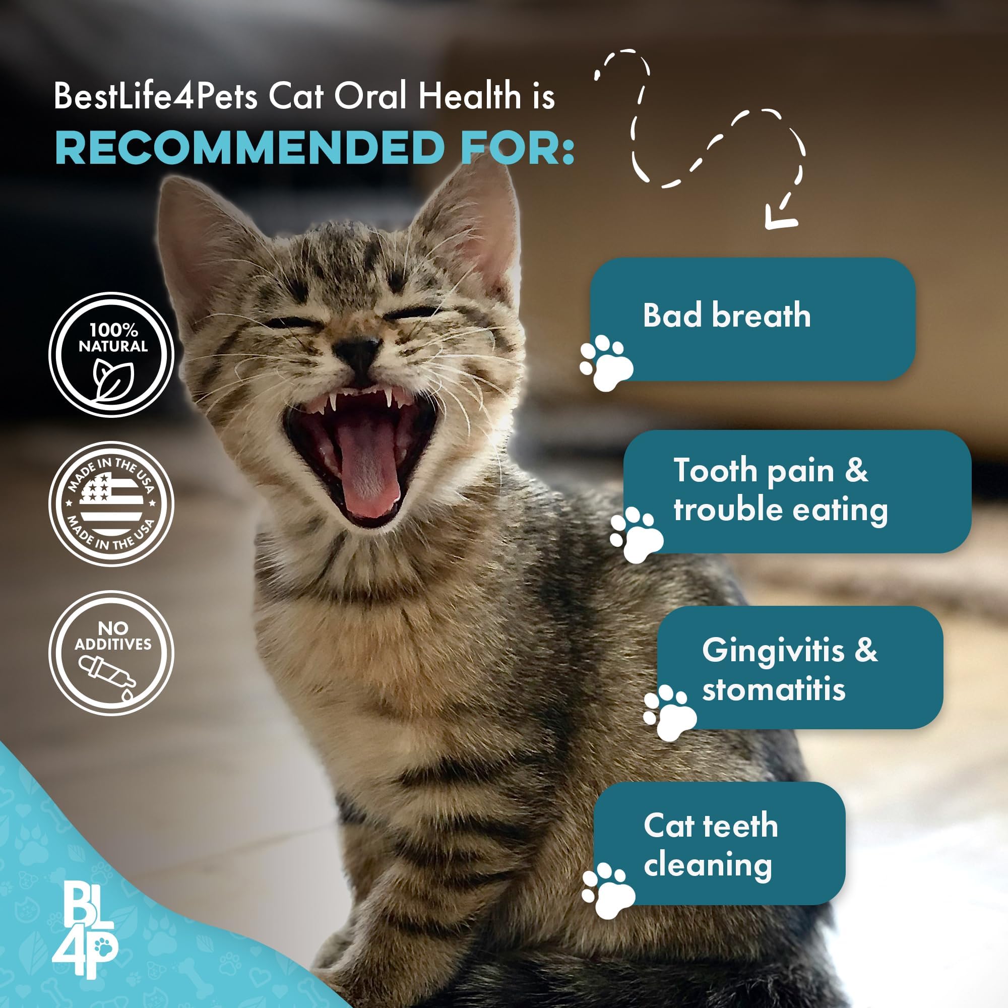 BestLife4Pets breath-freshening cat supplement delivering cleaner breath.
