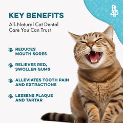 BestLife4Pets dental powder mix blending with meals for stress-free oral hygiene.