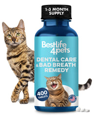 BestLife4Pets cat dental supplement bottle for easy daily care supporting gum health.