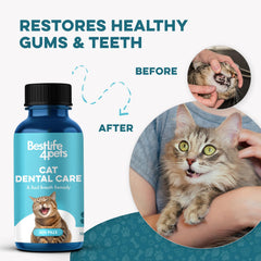 BestLife4Pets tablet dissolves in water for quick mouth care after meals.