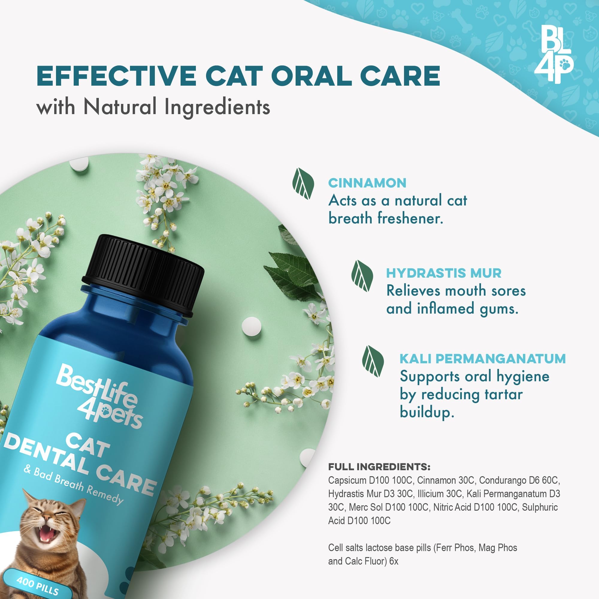 BestLife4Pets gum-support formula aiding comfortable gums for indoor cats.