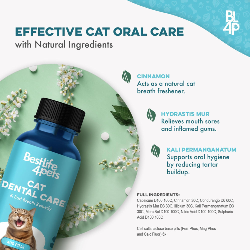 BestLife4Pets gum-support formula aiding comfortable gums for indoor cats.