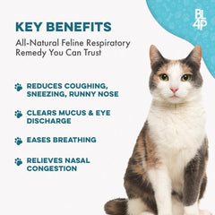 BestLife4Pets cat pill mix wet food—painless ingestion with wet meals.