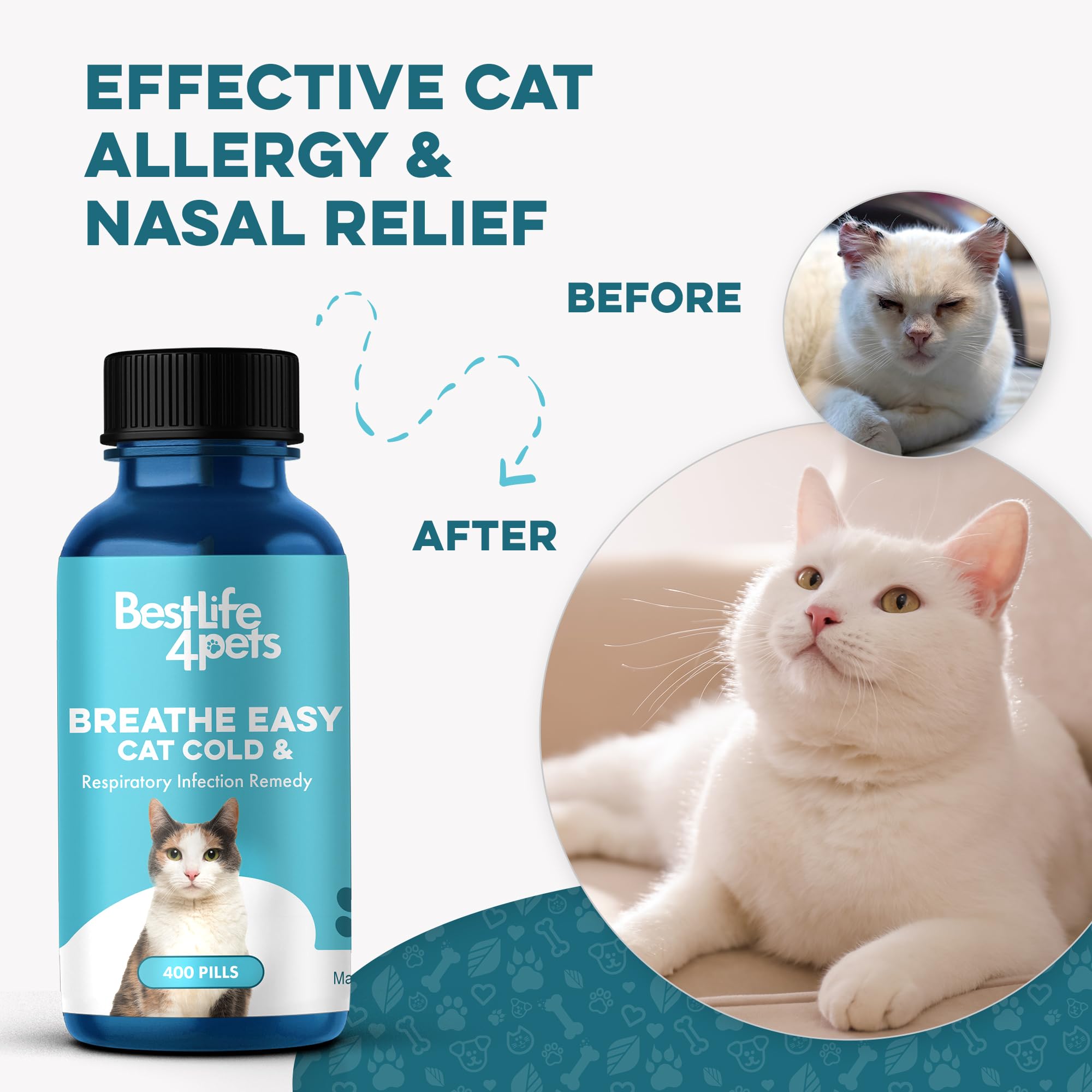BestLife4Pets cat sniffles scene—visual of seasonal respiratory discomfort.
