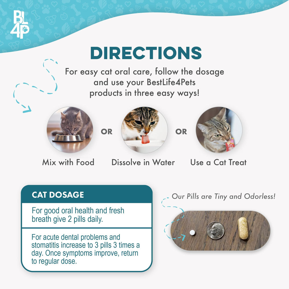 BestLife4Pets tartar-control daily use supports plaque reduction over time.