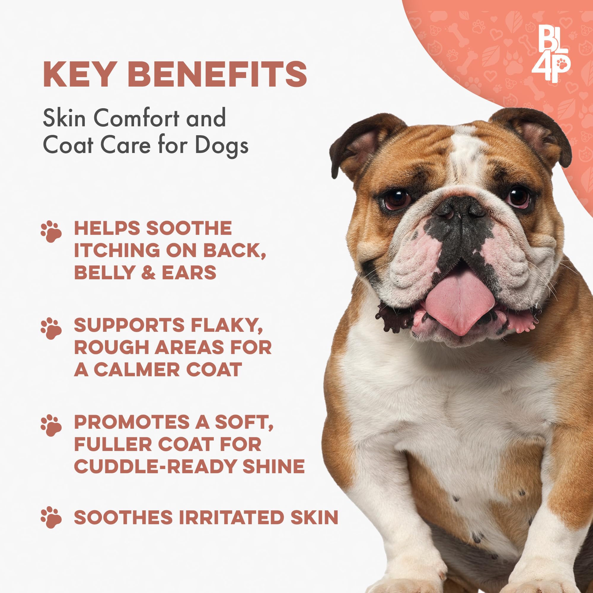 BestLife4Pets dog mange pills closeup shows small, odorless pills for gentle administration.