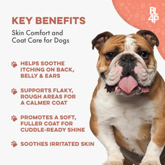 BestLife4Pets dog mange pills closeup shows small, odorless pills for gentle administration.