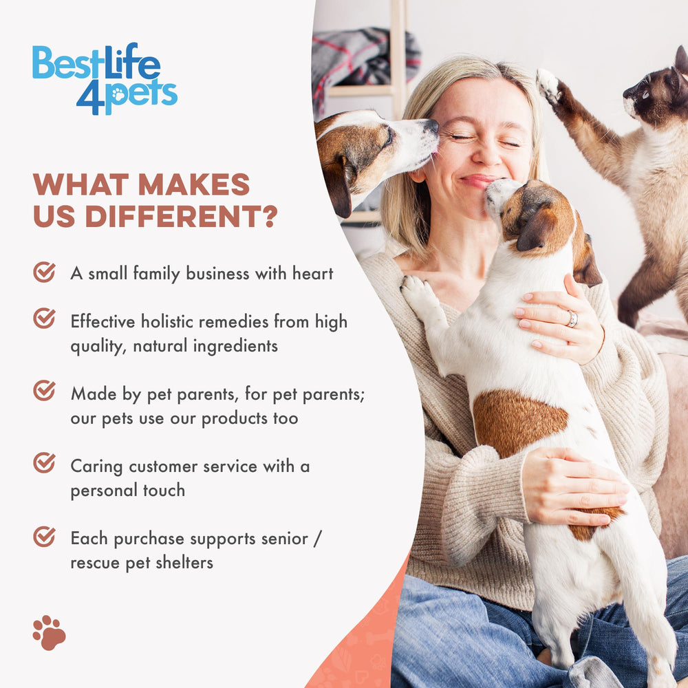 BestLife4Pets-dog-pill-administration-treat-pocket demonstrates easy pill concealment during dosing.