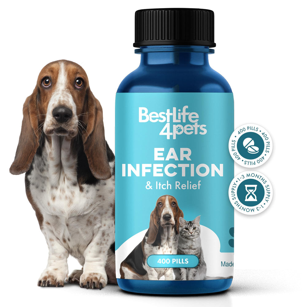 BestLife4Pets ear-infection-relief-pill shown as tiny, easy-to-administer pills for stress-free dosing.
