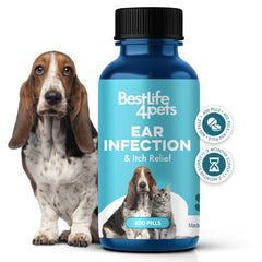 BestLife4Pets ear-infection-relief-pill shown as tiny, easy-to-administer pills for stress-free dosing.