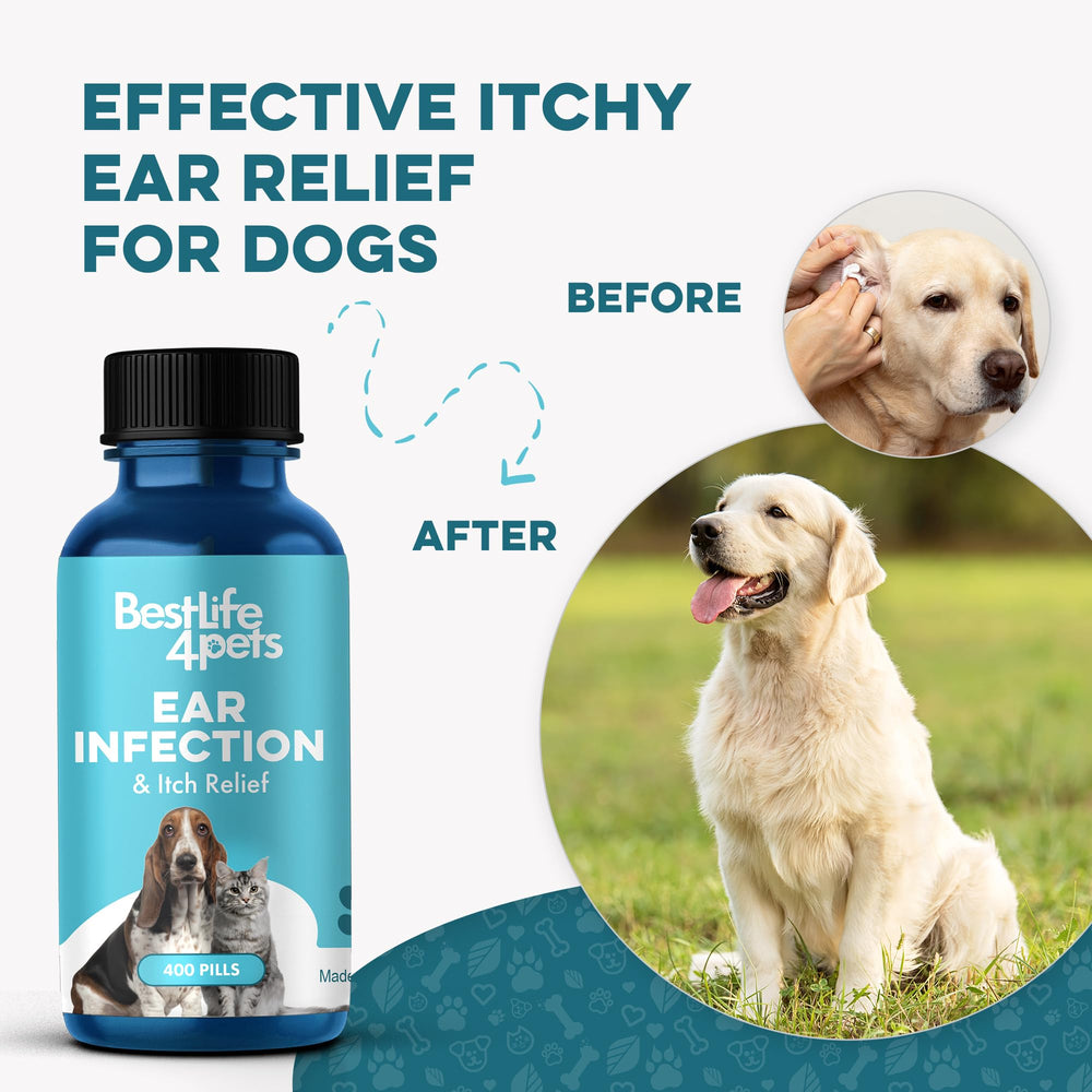 BestLife4Pets-gluten-free-gmo-free-formula highlighting natural ingredients for sensitive pets.