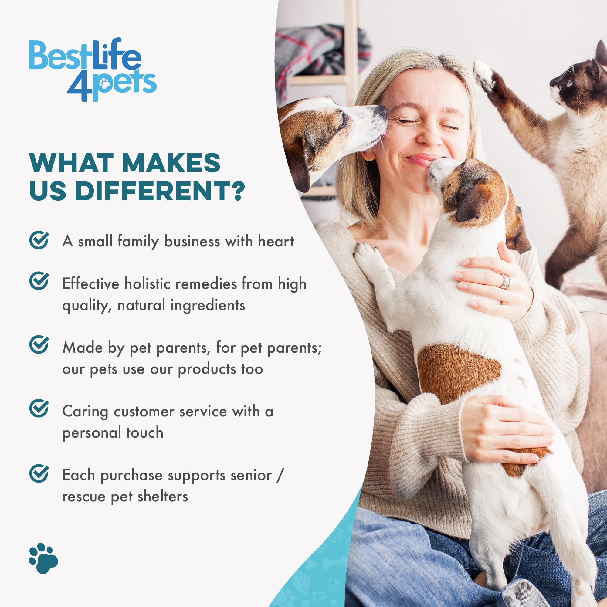 BestLife4Pets picky-eater-friendly pills—indoor cats can accept tasteless dosing.
