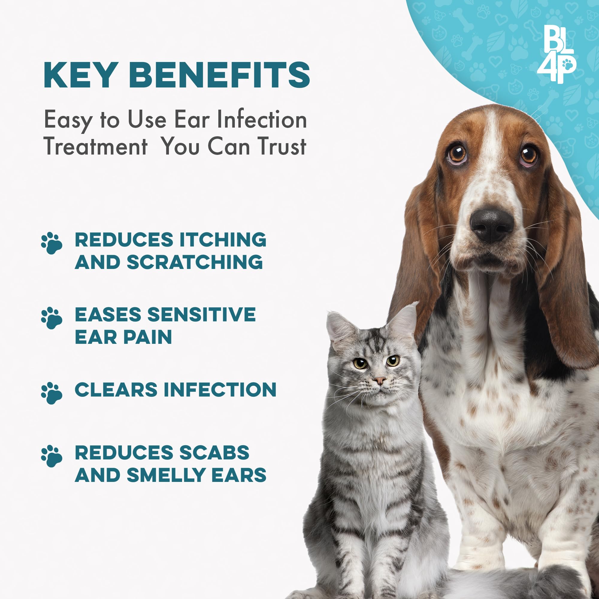 BestLife4Pets-pill-dissolve-mix depicting pills dissolved in water for flexible serving.